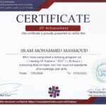 Islam Mohamad Mahmoud